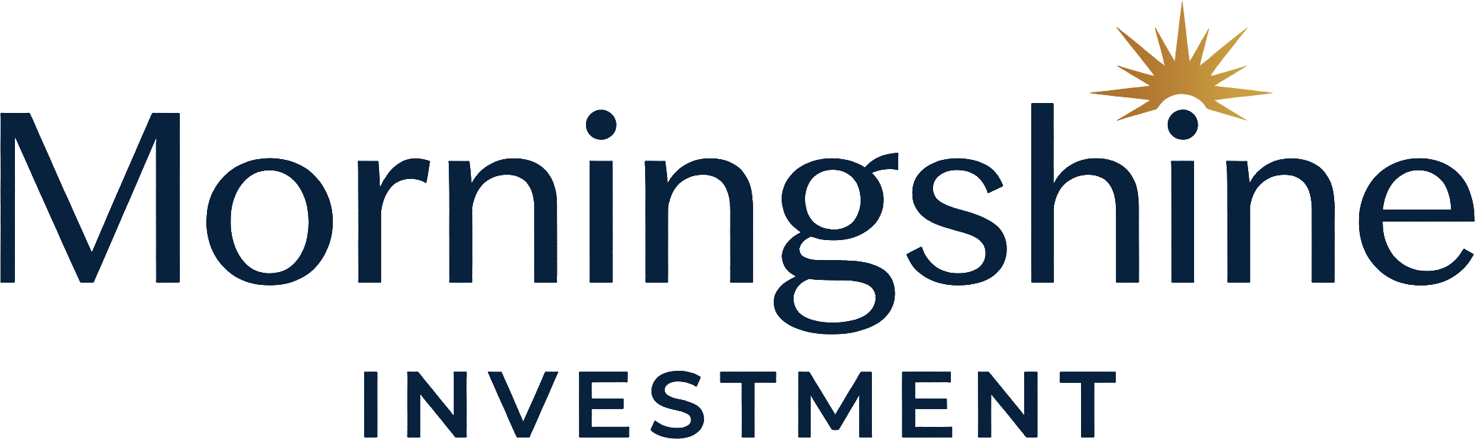 Morningshine Investment